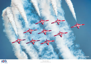 Canadian Snowbirds Aerobatic Team - RCAF Centennial Edition